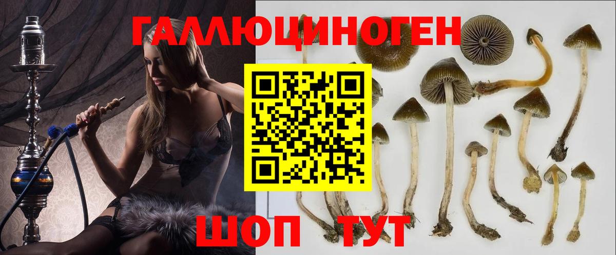Псилоцибиновые грибы GOLDEN TEACHER  Галлюциногенные грибы мицелий  Вход с VPN  Кострома 